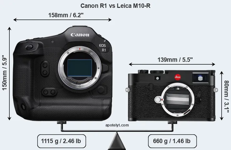 Size Canon R1 vs Leica M10-R