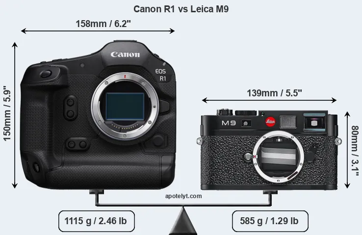 Size Canon R1 vs Leica M9