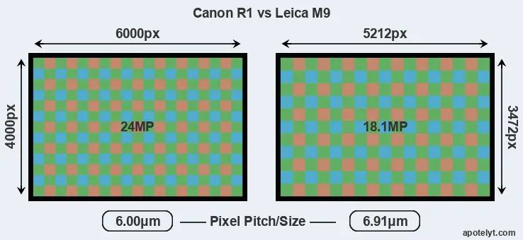 R1 versus M9 MP