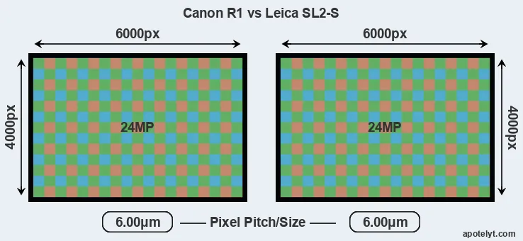 R1 versus Leica SL2-S MP