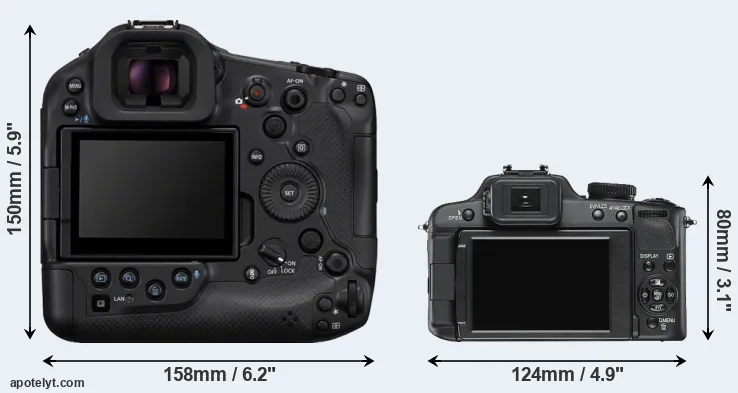 Comparison R1 or V-LUX 2 rear