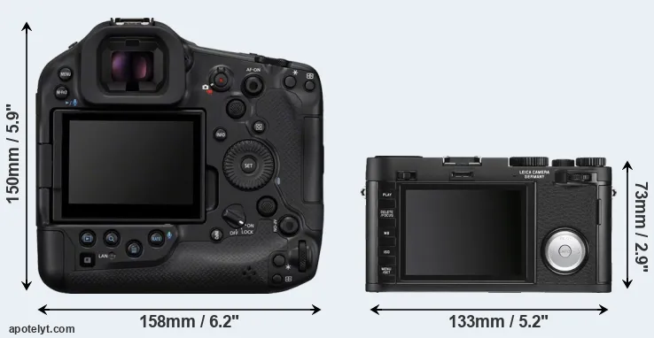 Comparison R1 or X Vario rear
