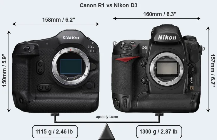Size Canon R1 vs Nikon D3