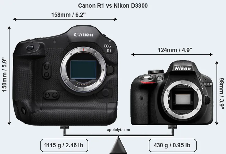 Size Canon R1 vs Nikon D3300