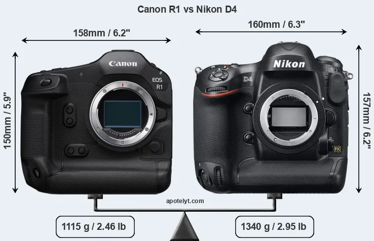Size Canon R1 vs Nikon D4