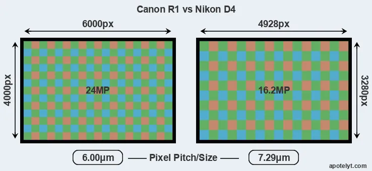 R1 versus D4 MP