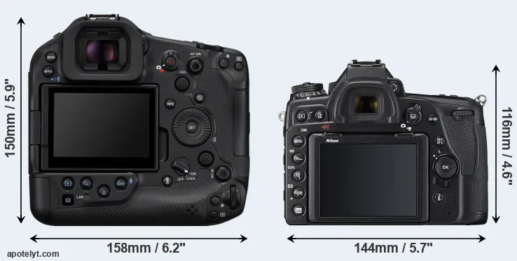 Comparison R1 or D780 rear