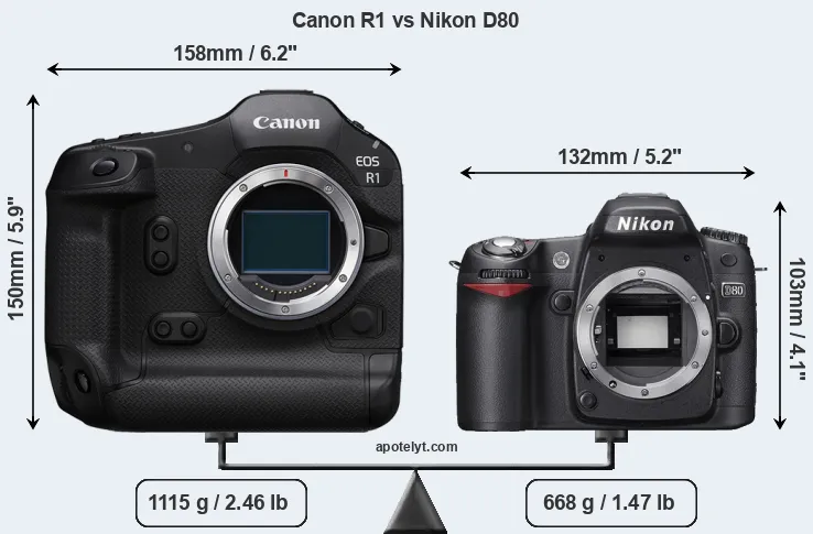 Size Canon R1 vs Nikon D80