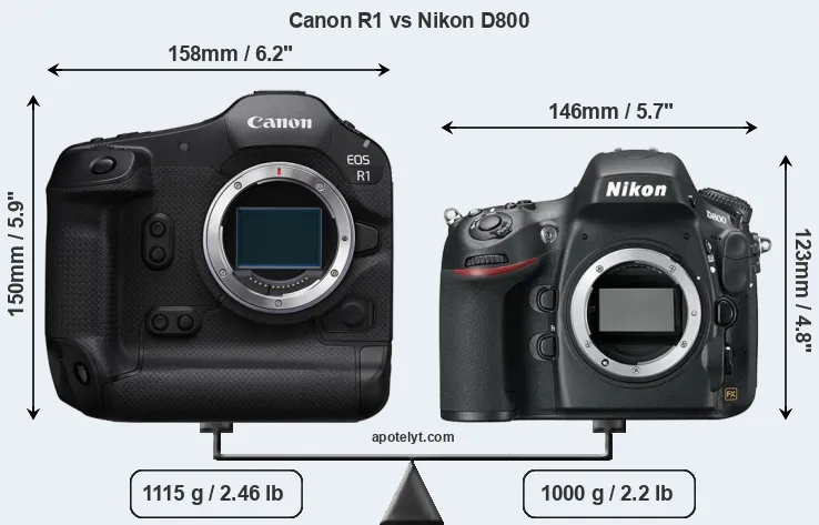 Size Canon R1 vs Nikon D800