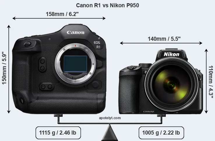 Size Canon R1 vs Nikon P950