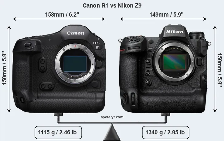 Size Canon R1 vs Nikon Z9