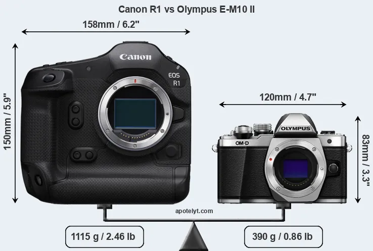 Size Canon R1 vs Olympus E-M10 II