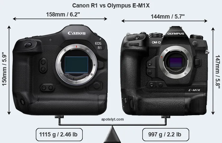 Size Canon R1 vs Olympus E-M1X