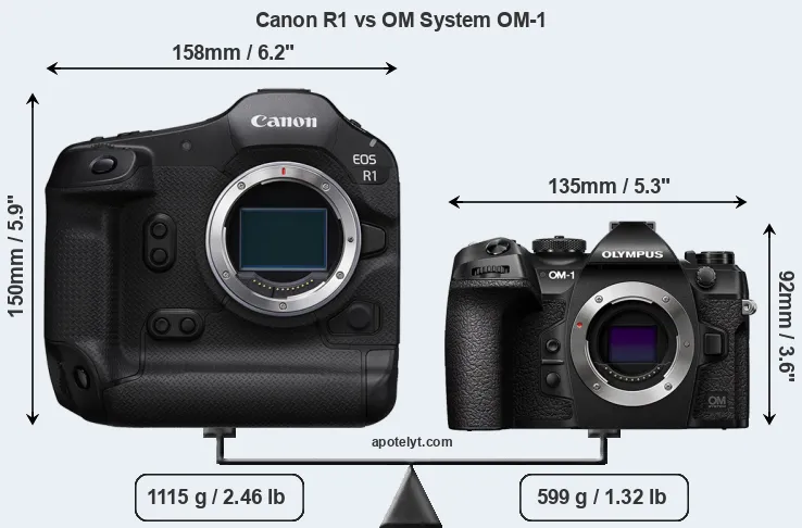 Size Canon R1 vs OM System OM-1
