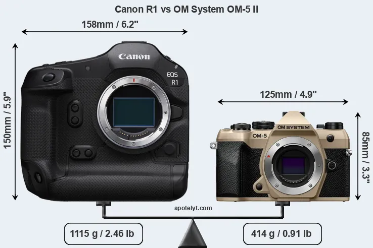 Size Canon R1 vs OM System OM-5 II