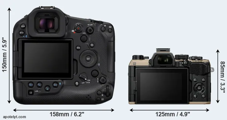 Comparison R1 or OM-5 II rear