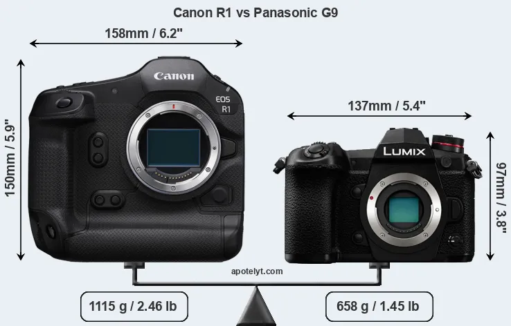 Size Canon R1 vs Panasonic G9