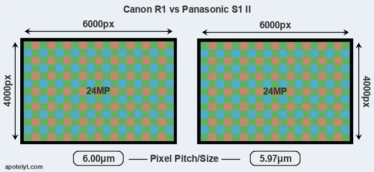 R1 versus S1 II MP