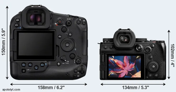 Comparison R1 or S5 II rear