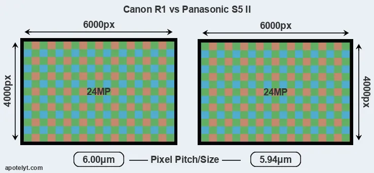 R1 versus S5 II MP