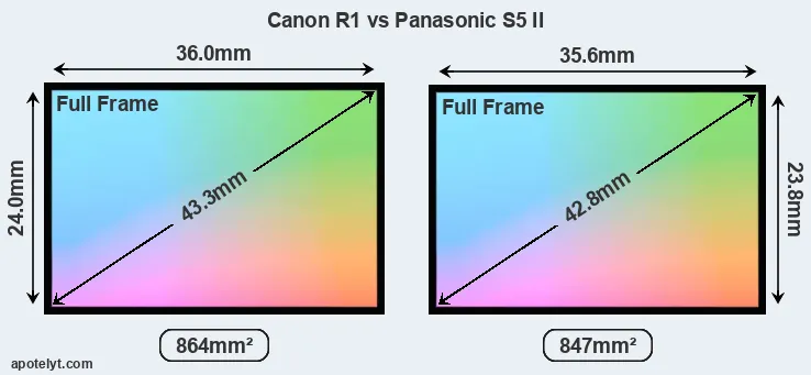 Canon R1 and Panasonic S5 II sensor measures
