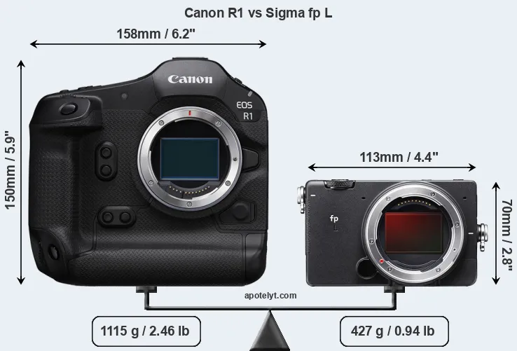 Size Canon R1 vs Sigma fp L