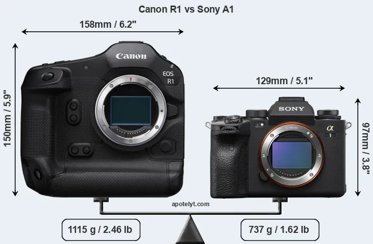 Size Canon R1 vs Sony A1