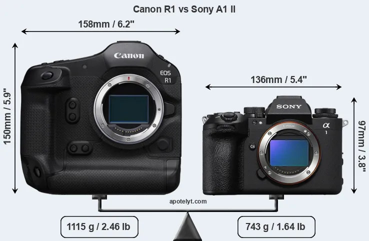 Size Canon R1 vs Sony A1 II