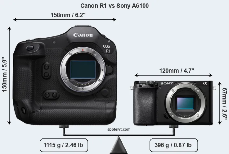 Size Canon R1 vs Sony A6100