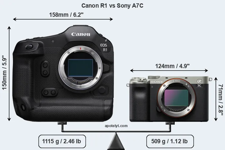 Size Canon R1 vs Sony A7C
