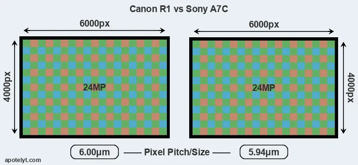 R1 versus A7C MP