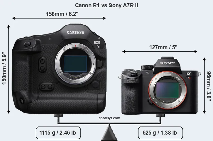 Size Canon R1 vs Sony A7R II