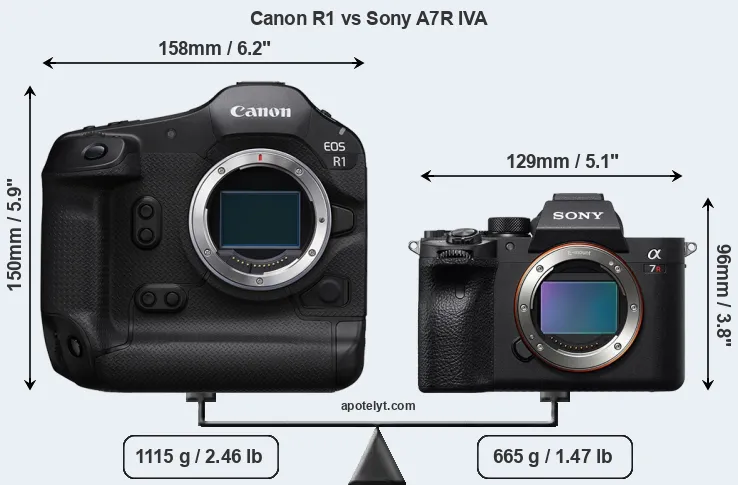 Size Canon R1 vs Sony A7R IVA