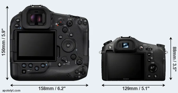 Comparison R1 or RX10 rear