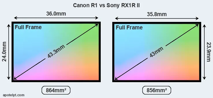 Canon R1 and Sony RX1R II sensor measures