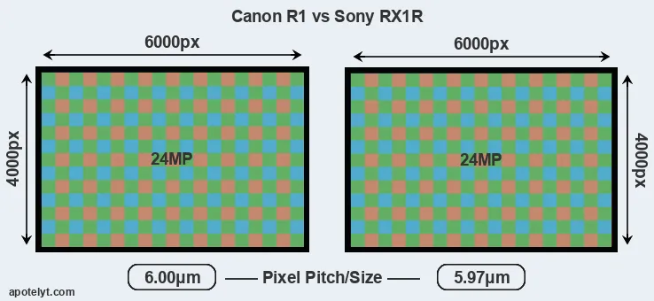 R1 versus RX1R MP