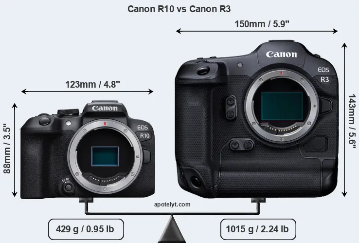 Size Canon R10 vs Canon R3