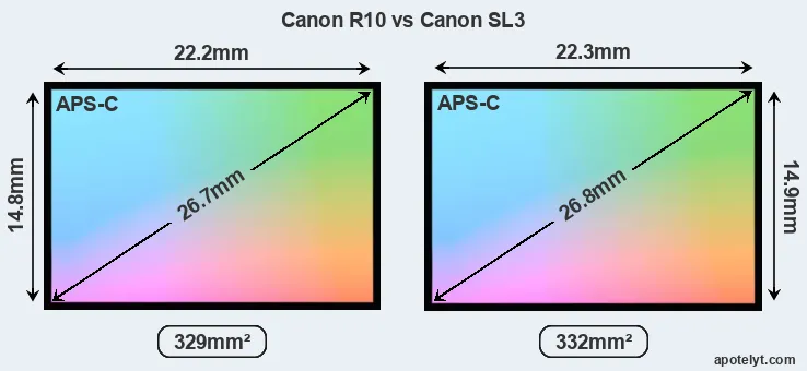 Canon R10 and Canon SL3 sensor measures
