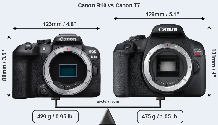 Size Canon R10 vs Canon T7
