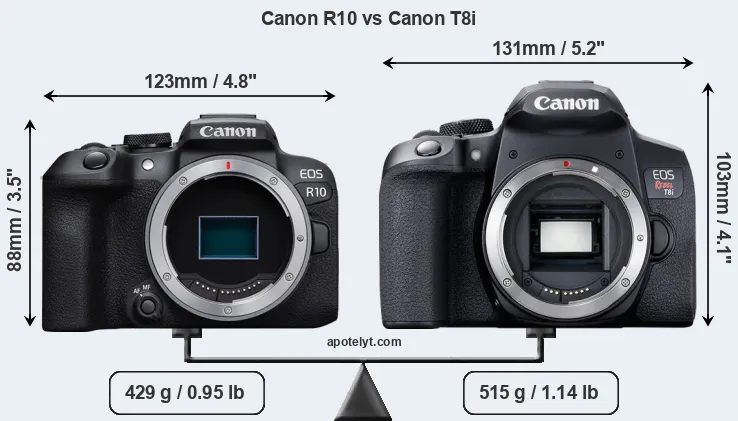 Size Canon R10 vs Canon T8i