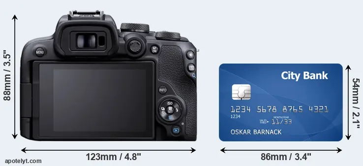 R10 and credit card rear side