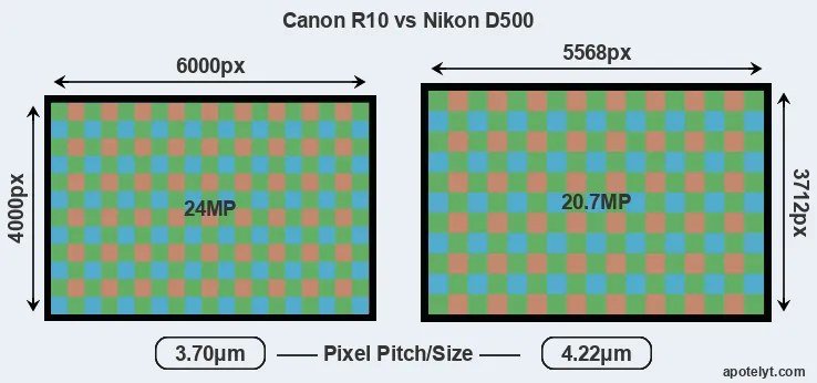 R10 versus D500 MP