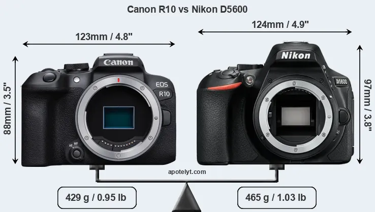 Size Canon R10 vs Nikon D5600