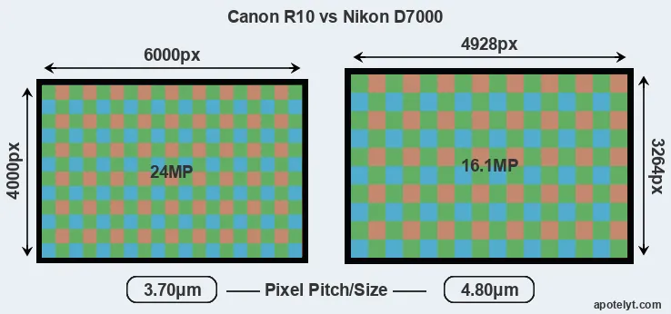 R10 versus D7000 MP