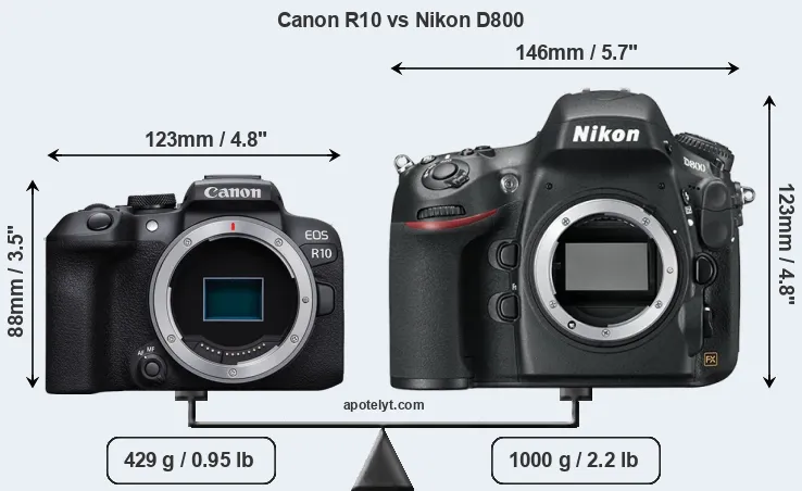 Size Canon R10 vs Nikon D800