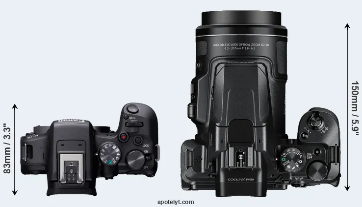Compare R10 versus P950 top