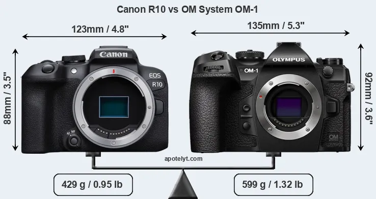 Size Canon R10 vs OM System OM-1