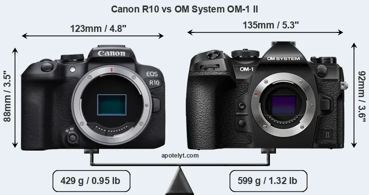 Size Canon R10 vs OM System OM-1 II
