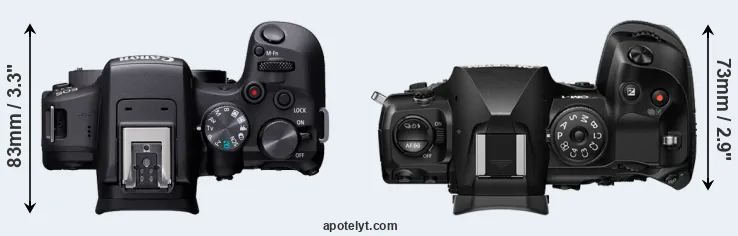 Compare R10 versus OM-1 II top
