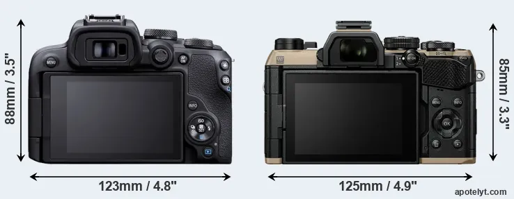 Comparison R10 or OM-5 II rear